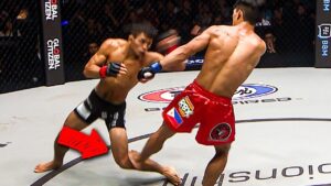 Unpacking the Flyweight MMA Division: What Demetrious Johnson’s Retirement Means for the Future