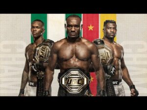 What’s Next for the UFC Night Champions?