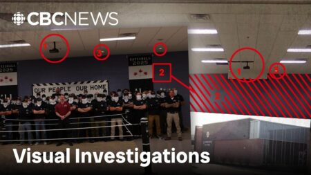 Unveiling the Hidden World of a Secret Fascist MMA Tournament in a Small Ontario Town