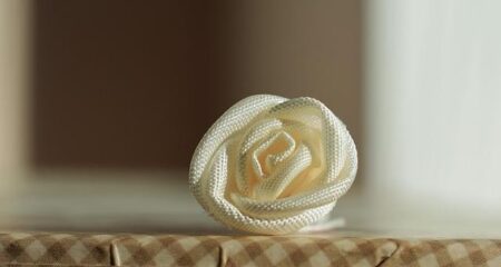 Larissa Pacheco Breaks Her Silence After PFL Release: ‘I’m Not the One in the Wrong