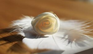 Two-Time Champion Larissa Pacheco Surprises Fans with PFL Roster Departure