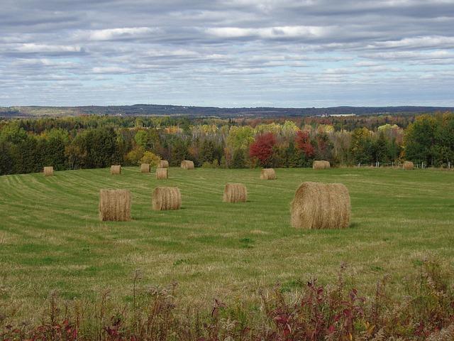 Joffie Houlton Triumphs as Opponent’s Fouls Cut Match Short Joffie Houlton Triumphs as Opponent’s Fouls Cut Match Short