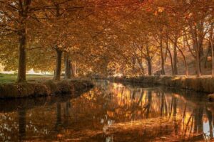 Aung La N Sang’s Epic Hall of Fame Journey: His 5 Greatest Achievements in ONE Championship