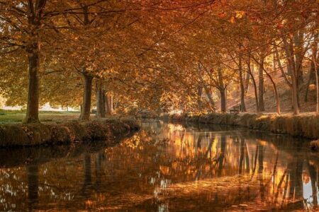 A Dream Come True’ – Aung La N Sang Reflects on the Perfect Finale to His Legendary Career