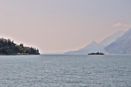 Megan Olivi Reveals Her Top Five Exciting MMA Predictions for 2026