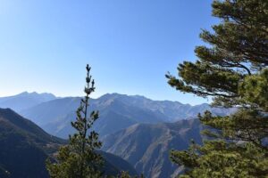 Dagestan’s Ibragim Ibragimov and His Three Brothers Take Manchester United by Storm While He Dominates the MMA Cage