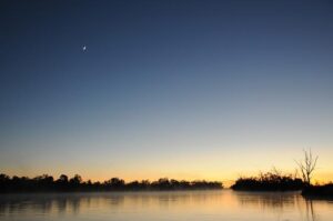 Former PFL CEO and Head of International Leagues Peter Murray Steps Down