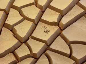 Amanda Nunes sees American Top Team ‘as my opponent too’ at UFC 324 – MMAWeekly.com