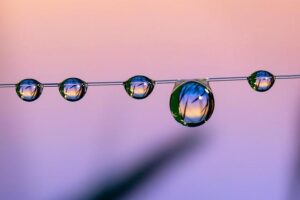 5 Fast Facts About Brazil’s Undefeated MMA Sensation Marcos Aurelio