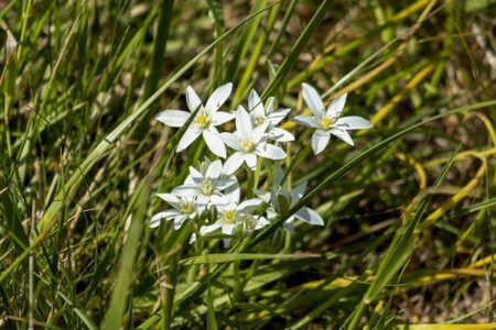 Justin Gaethje plans to teach Paddy Pimblett a lesson at UFC 324 – MMAWeekly.com