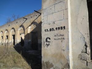 Umar Nurmagomedov Opens Up on Merab Dvalishvili’s Challenging Year and Hard-Fought Title Battle