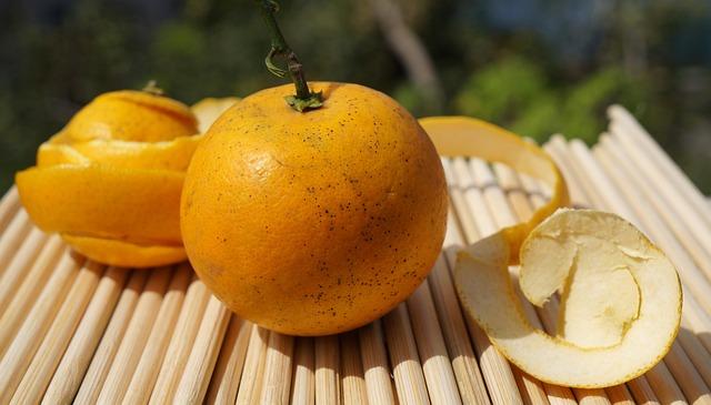 Cam Rowston Shocks Fans with Spectacular Second-Round TKO Over Cody Brundage at UFC 325 Cam Rowston Shocks Fans with Spectacular Second-Round TKO Over Cody Brundage at UFC 325