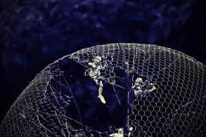 Unpacking the Andre Galvao Sexual Misconduct Allegations: Essential Facts You Should Know