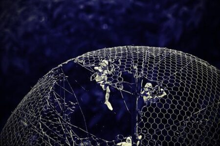 Unpacking the Andre Galvao Sexual Misconduct Allegations: Essential Facts You Should Know