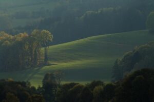 Michael ‘Venom’ Page Makes Bold Predictions on Ian Machado Garry’s Chance to Dethrone Islam Makhachev