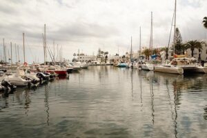 Sabrinna de Sousa: The PFL’s Next Big Star on the Rise