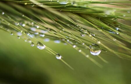 Drew Dober Sets Sights on Making Lightweight KO History at UFC 326