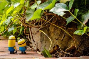 Kevin Vallejos Stuns Emmett with Devastating First-Round Knockout