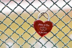 Adam Borics Declares The Big Statement He Wants To Make At PFL Madrid – LowKickMMA.com