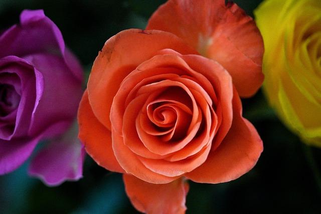 Jon Jones, Driver Have Different Takes on Alleged Road Rage Incident Jon Jones, Driver Have Different Takes on Alleged Road Rage Incident