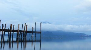 Sergio Pettis vs. Mitchell McKee Headlines Exciting Full PFL Chicago Fight Card